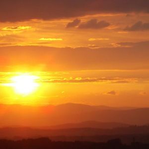 Meet your Posher, Mimi